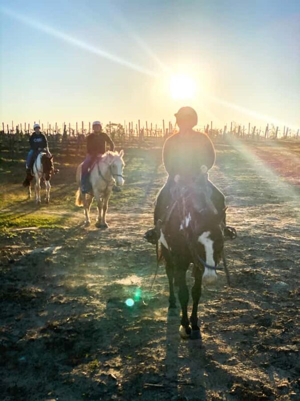 Hunter Valley: Sunset Horse Riding Tour 90min - FAQ