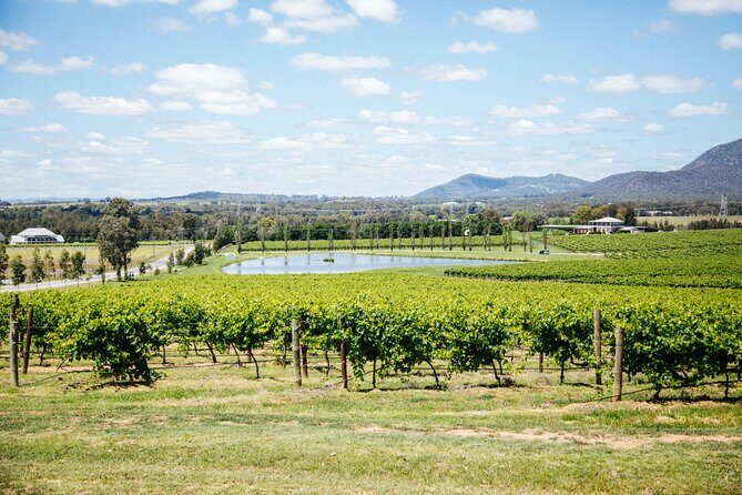 Hunter Valley Wine Tasting Tour from Sydney - Convenient Transport from Sydney