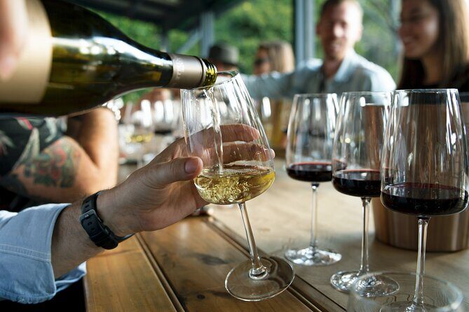 Hunter Valley Wine Tour ex Hunter Valley - Lunch, Cheese, Chocolate, Distillery - Final Thoughts