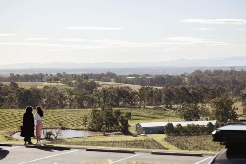Hunter Valley: Wine Tour with 2-Course Lunch, Choc & Cheese - Practical Considerations