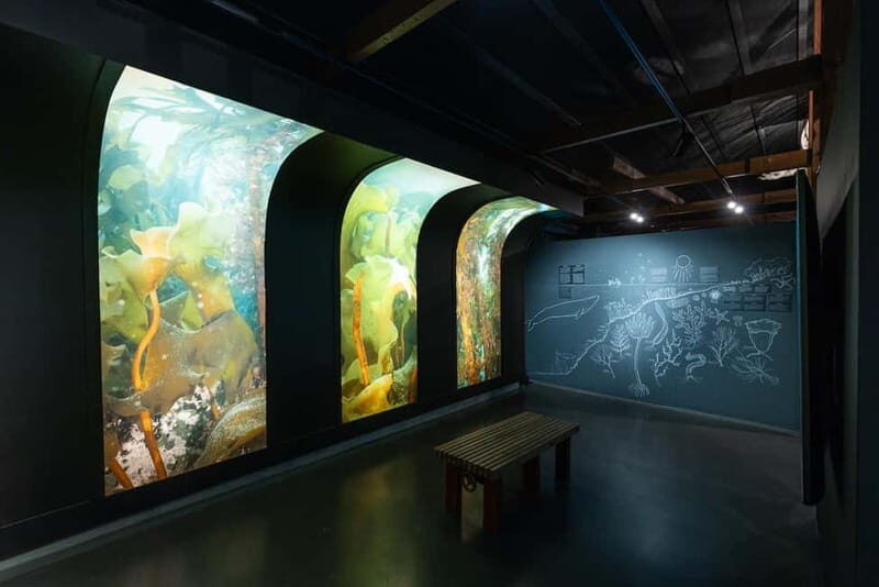 Húsavík: Whale Museum Entry Ticket - Key Points