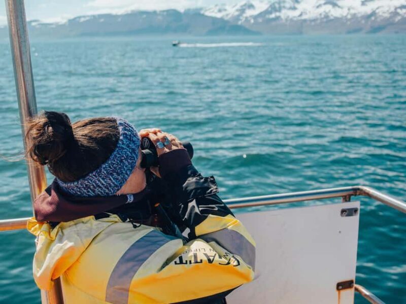 Húsavík: Whale Watching Family Run with Indoor Seats - Who Should Consider This Tour?