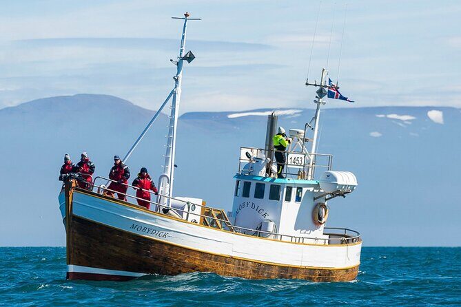 Húsavík Whale Watching Tour, family owned and operated - Key Points