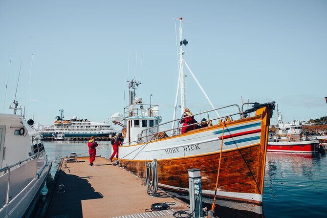 Húsavík Whale Watching Tour, family owned and operated - An In-Depth Look at the Whale Watching Experience