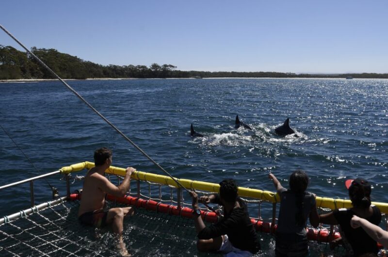 Huskisson: Dolphin Cruise & Boom Netting Experience - FAQ