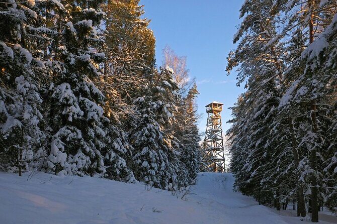 Husky Dog Sledding Tour From Riga - Final Thoughts