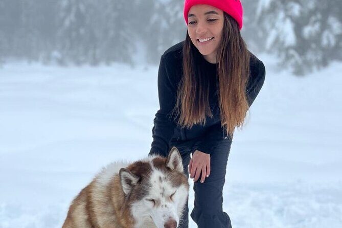 Husky Hikes Private Mountain Tours - What Do The Reviews Say?