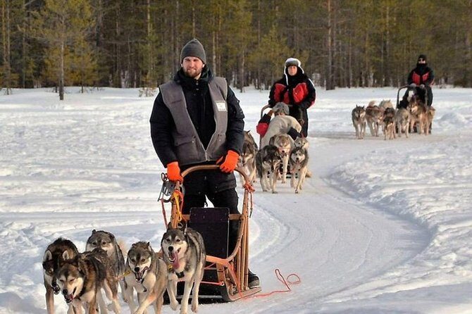 Husky Safari from Levi 2 KM or 5 KM with Husky Sledge Ride - FAQs
