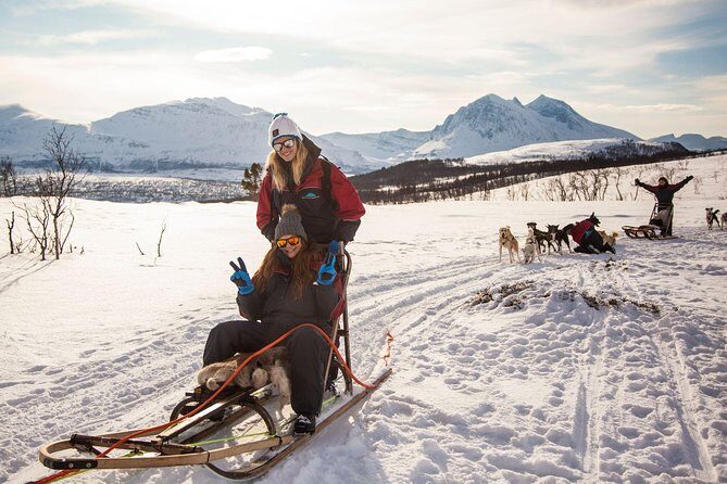 Husky Sledding Self-Drive Adventure in Tromso - What to Expect from the Tour