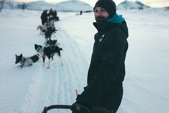 Husky Sledding Self-Drive Adventure in Tromso - Final Thoughts