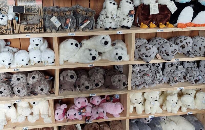 Hvammstangi: Icelandic Seal Center Museum Entry Ticket - The Significance of Conservation and Sustainability