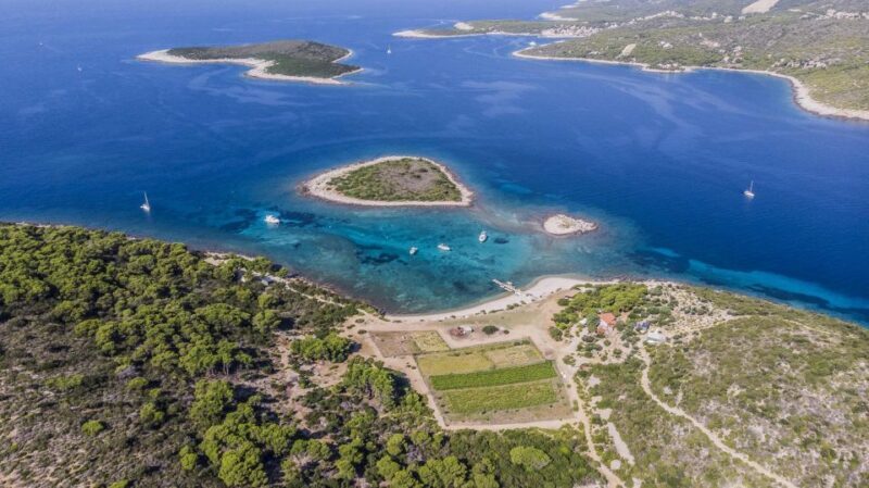 Hvar: Blue and Green Caves Boat Tour with Stiniva Beach - Price & Value
