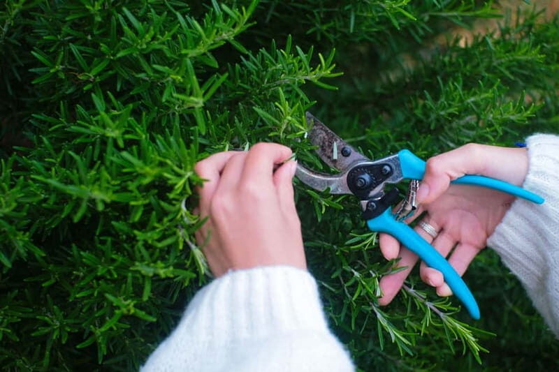 Hvar: Cooking Workshop with Locals & Farm-to-Table Meal - FAQ