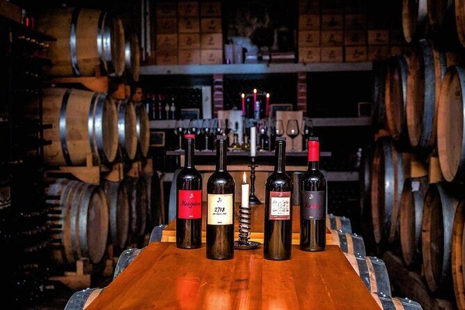 Hvar: Island tour with Wine and Olive Oil Tasting - The Heart of the Tour: Wine and Olive Oil Tasting