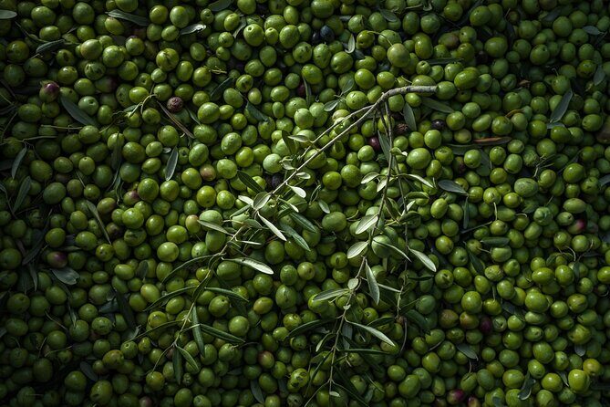 Hvar: Island tour with Wine and Olive Oil Tasting - FAQ