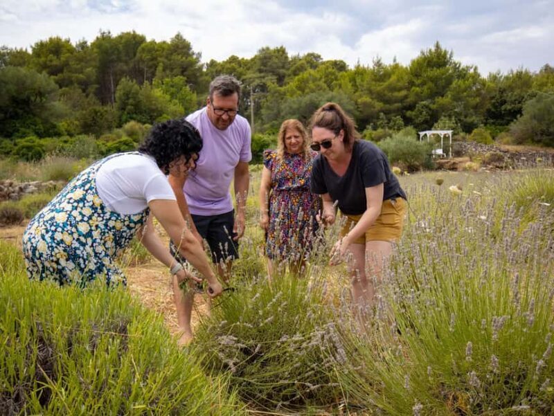Hvar: Lavender Fields, Honey, and Local Product Tasting - What to Expect from the Tour