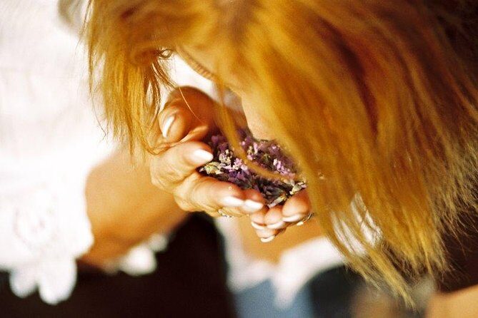 Hvar Lavender Small Group Tour - Final Thoughts