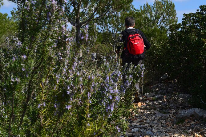 Hvar Lavender Tour - Key Points