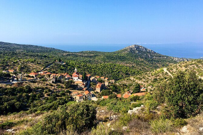 Hvar Lavender Tour - The Real Charm: Guided Insights and Local Flavors