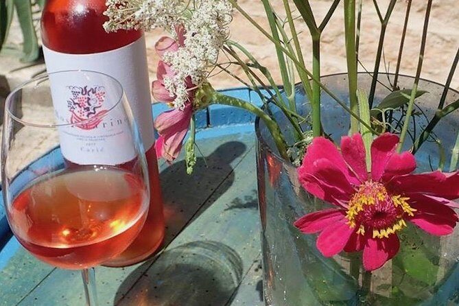 Hvar Wine tasting small group experience - An Honest Look at What You Can Expect