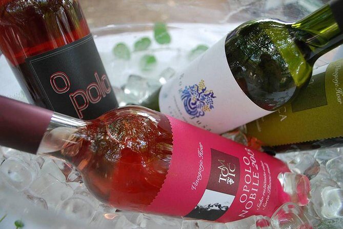 Hvar Wine tasting small group experience - Final Thoughts: Is It Worth It?