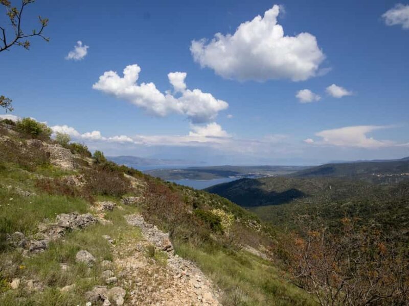 Hvar: Wine Tasting Tour and Island Sightseeing - In The Sum Up