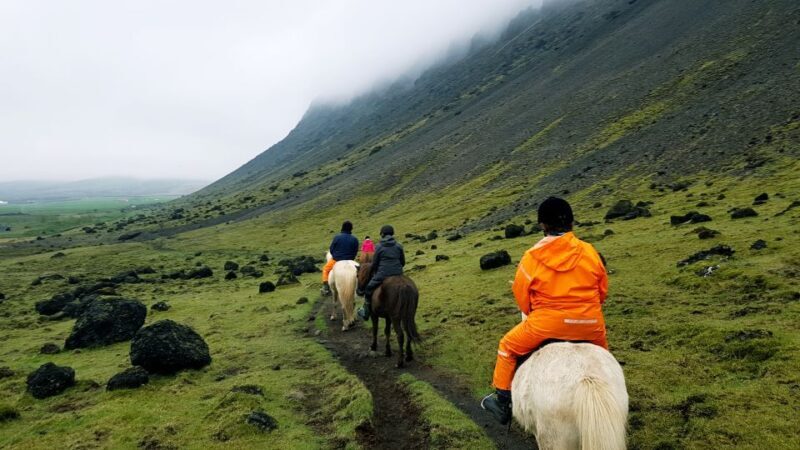 Hveragerdi: Reykjadalur (Hotspring Valley) Horse Riding Tour - Key Points