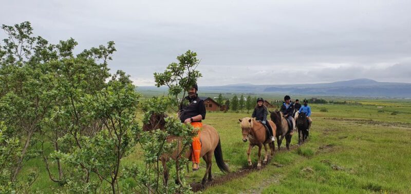 Hveragerdi: Reykjadalur (Hotspring Valley) Horse Riding Tour - The Experience from Past Participants