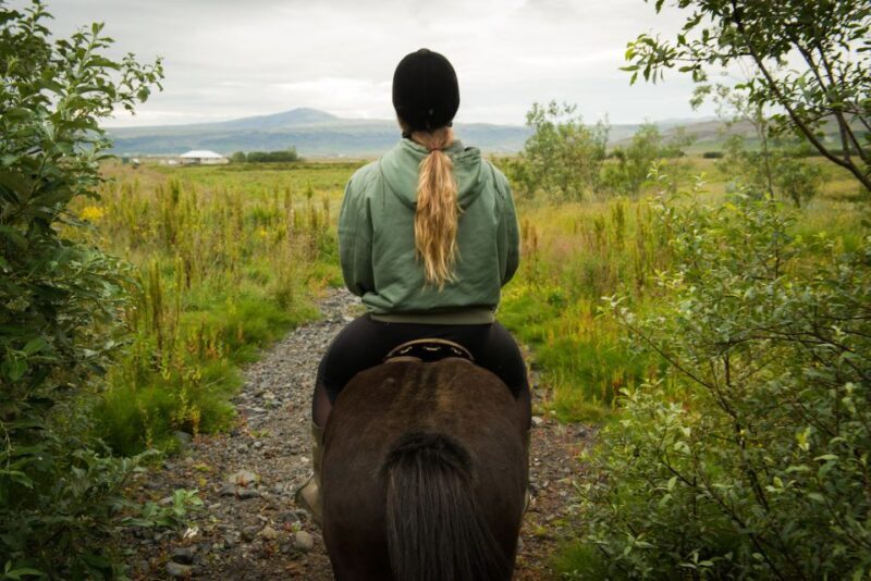 Hveragerdi: Reykjadalur (Hotspring Valley) Horse Riding Tour - Final Thoughts
