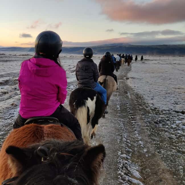 Hveragerdi: The Siggi Horse Riding Tour - The Scenic Surroundings