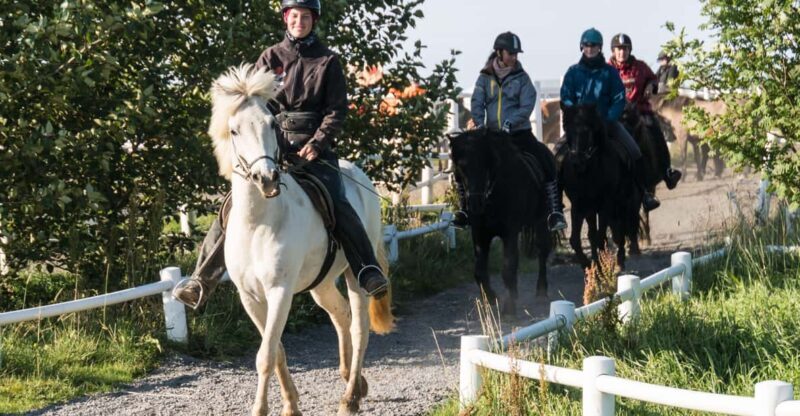 Hveragerdi: The Siggi Horse Riding Tour - Weighing the Value