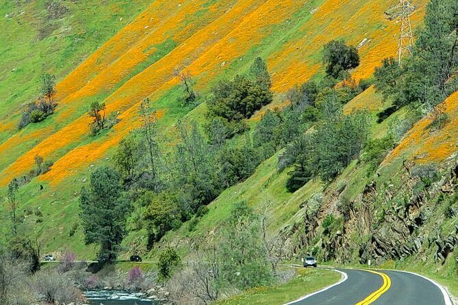 Hwy 140 Route Glacier Point and Yosemite Valley Small Group Tour - Practical Considerations