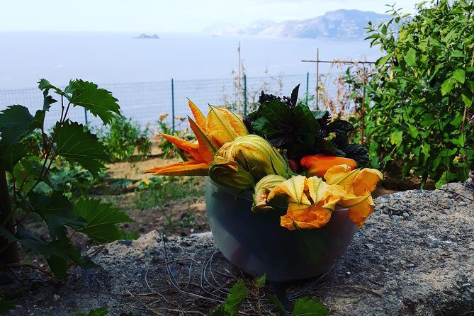 I offer cooking lesson of Amalfi tradition - FAQ: Practical Questions About the Amalfi Cooking Class