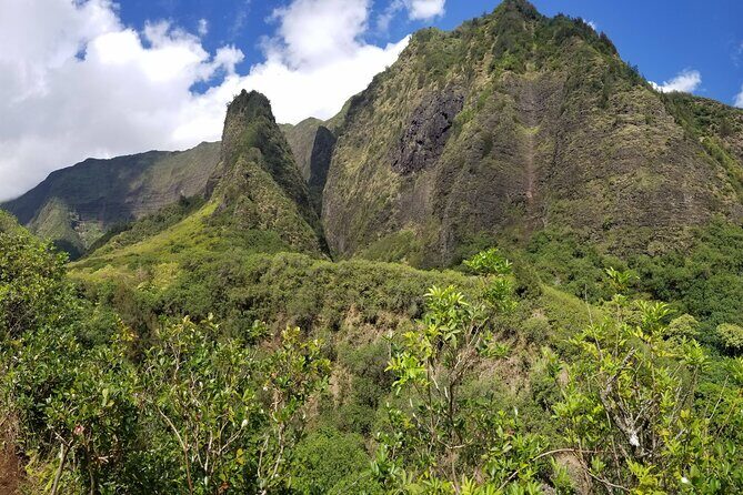 Iao Valley Nature Walk - What Is the Iao Valley Nature Walk?