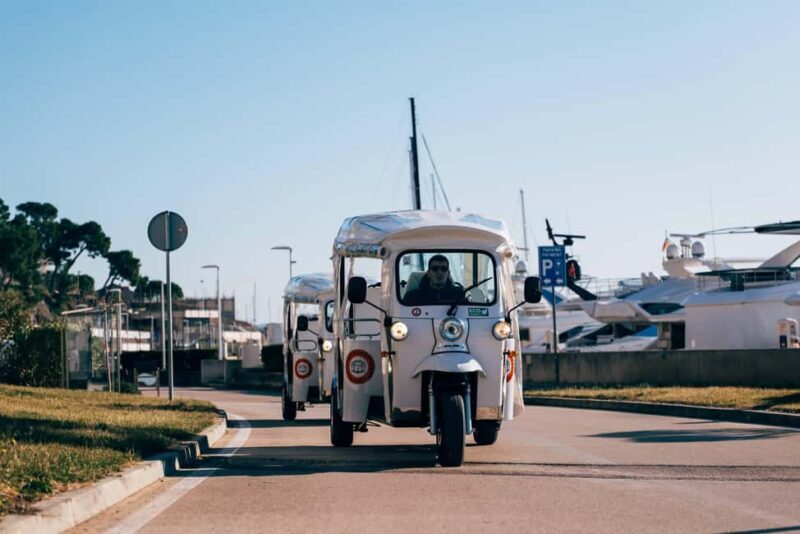 ibenik: 3 hours City&wine tour, tasting and fortresses inc - Visiting the UNESCO St. James Cathedral