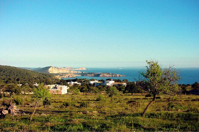 Ibiza Beaches and Villages Private Tour - The Sum Up