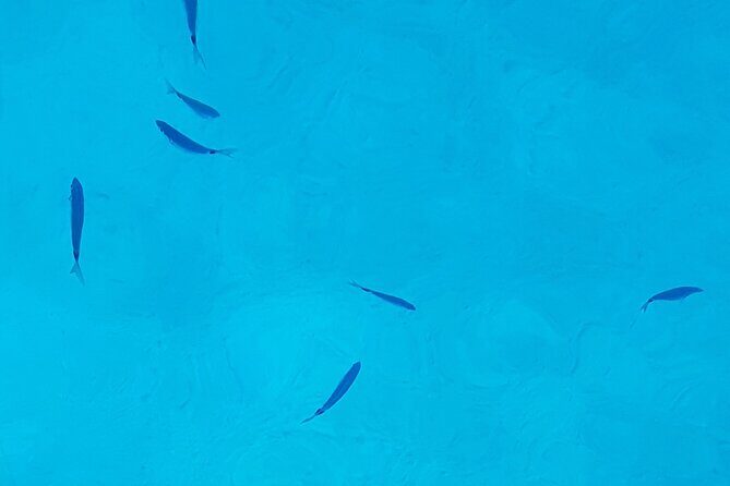 Ibiza Boat Trip to Formentera | Full-Day Experience - FAQ