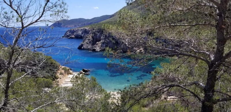 Ibiza: Crystal Coast Walk with Swim Stop - Exploring Ibiza’s Crystal Coast: A Walk with a Refreshing Swim