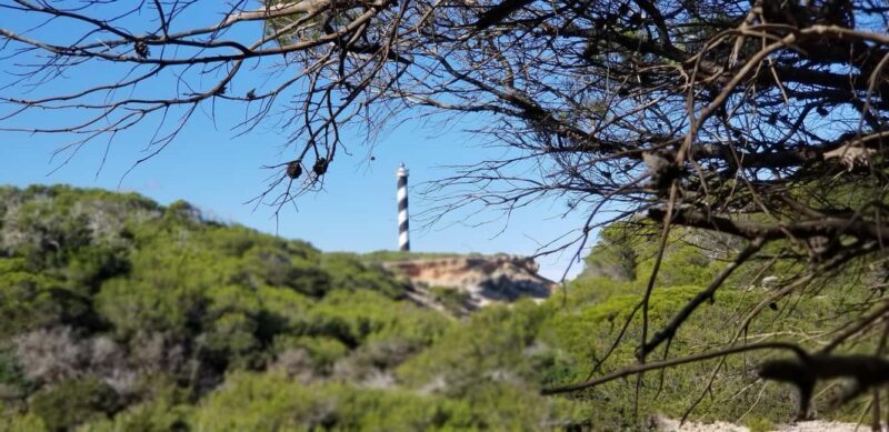 Ibiza: Crystal Coast Walk with Swim Stop - What’s Included & What’s Not