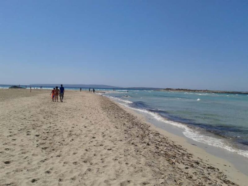 IBIZA: Day trip to Formentera by bike - Things to Consider