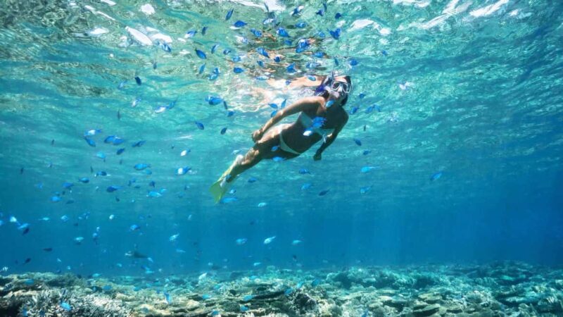 Ibiza: Formentera Boat Tour with Meals, Water & Open Bar - What to Expect on the Tour