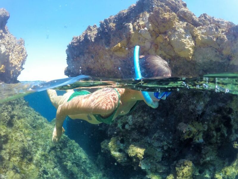 Ibiza: Full Day paddle Boat Tour with Course & BBQ included. - What To Expect on the Tour