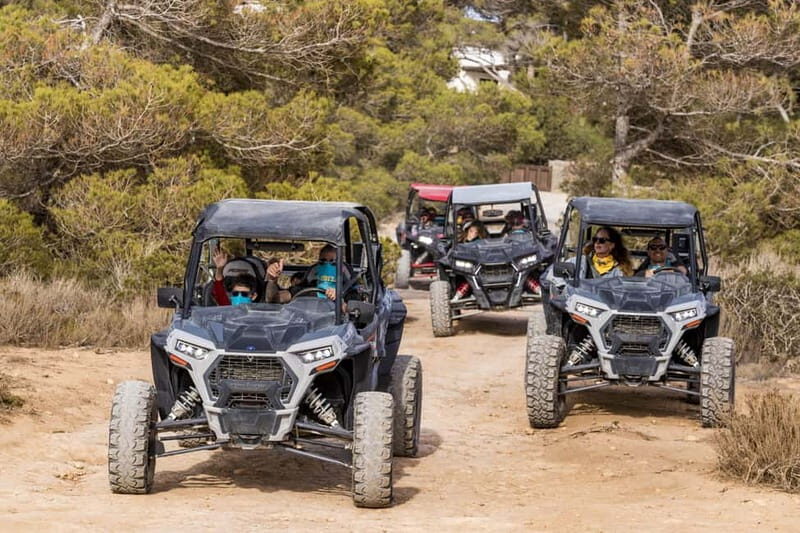 Ibiza: Guided Buggy Tour with Beach Stops - In-Depth Look at the Experience