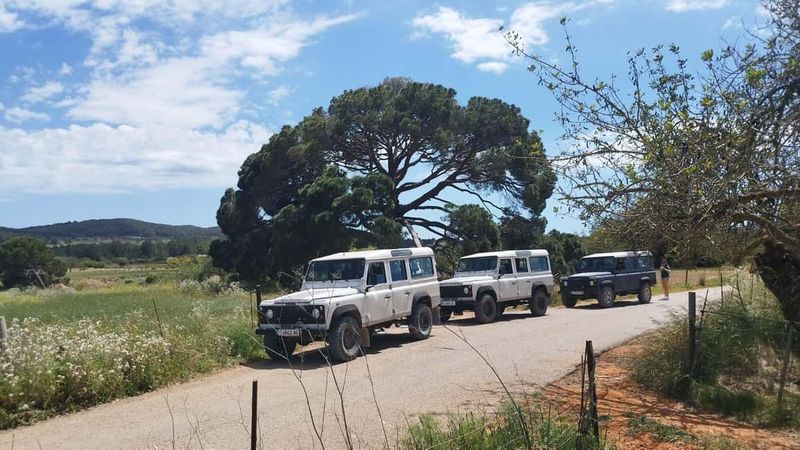 Ibiza: Jeep Safari Island Exploration - Picnic Lunch on the Beach: Simple, Solid, and Included