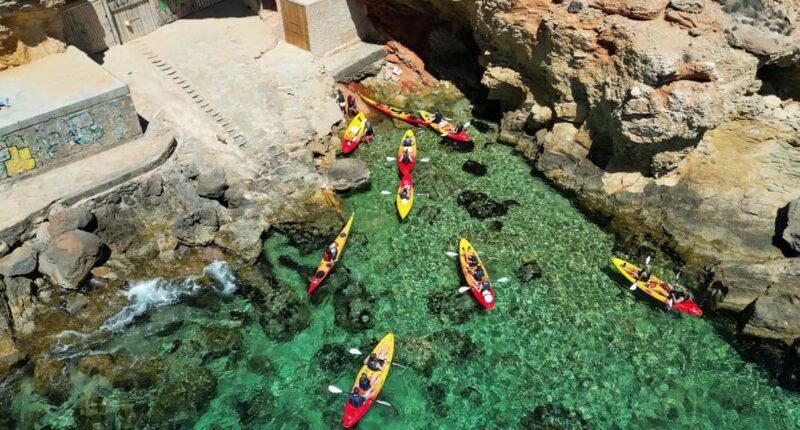 Ibiza: Kayak & Snorkel in Sea Caves and Crystal Waters - What Makes This Tour Stand Out?