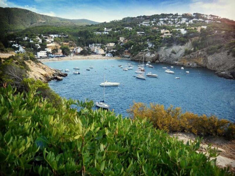 Ibiza: Land & Sea Adventure by BUGGY + PADDLE SURF - Key Points