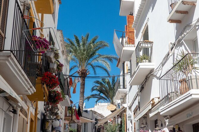Ibiza old town Private Walking Tour with a Professional Guide - A Closer Look at the Ibiza Old Town Private Walking Tour