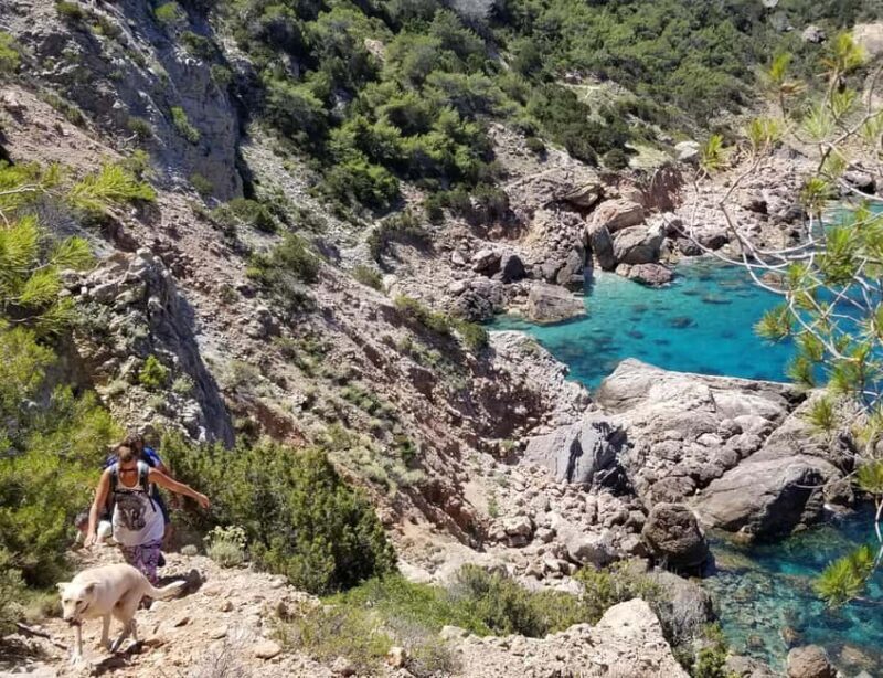 Ibiza: Private Hiking Tour with Local Guide - Practical Tips and Considerations