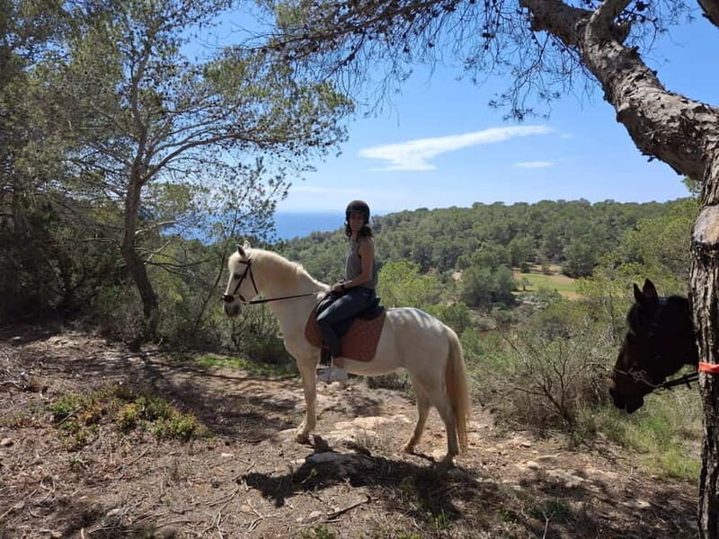 IBIZA: Private Horseback Ride with PICNIC + Hotel Pick-up - What to Expect from the Ibiza Horseback Ride