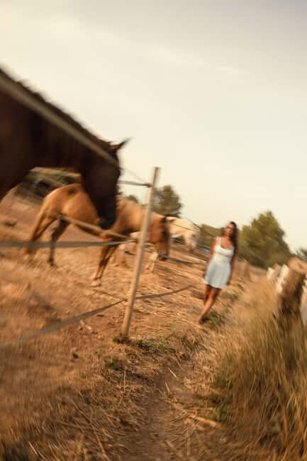IBIZA: Private Horseback Ride with PICNIC + Hotel Pick-up - Final Thoughts